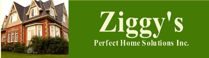 Ziggy's Perfect Home Solutions Inc logo