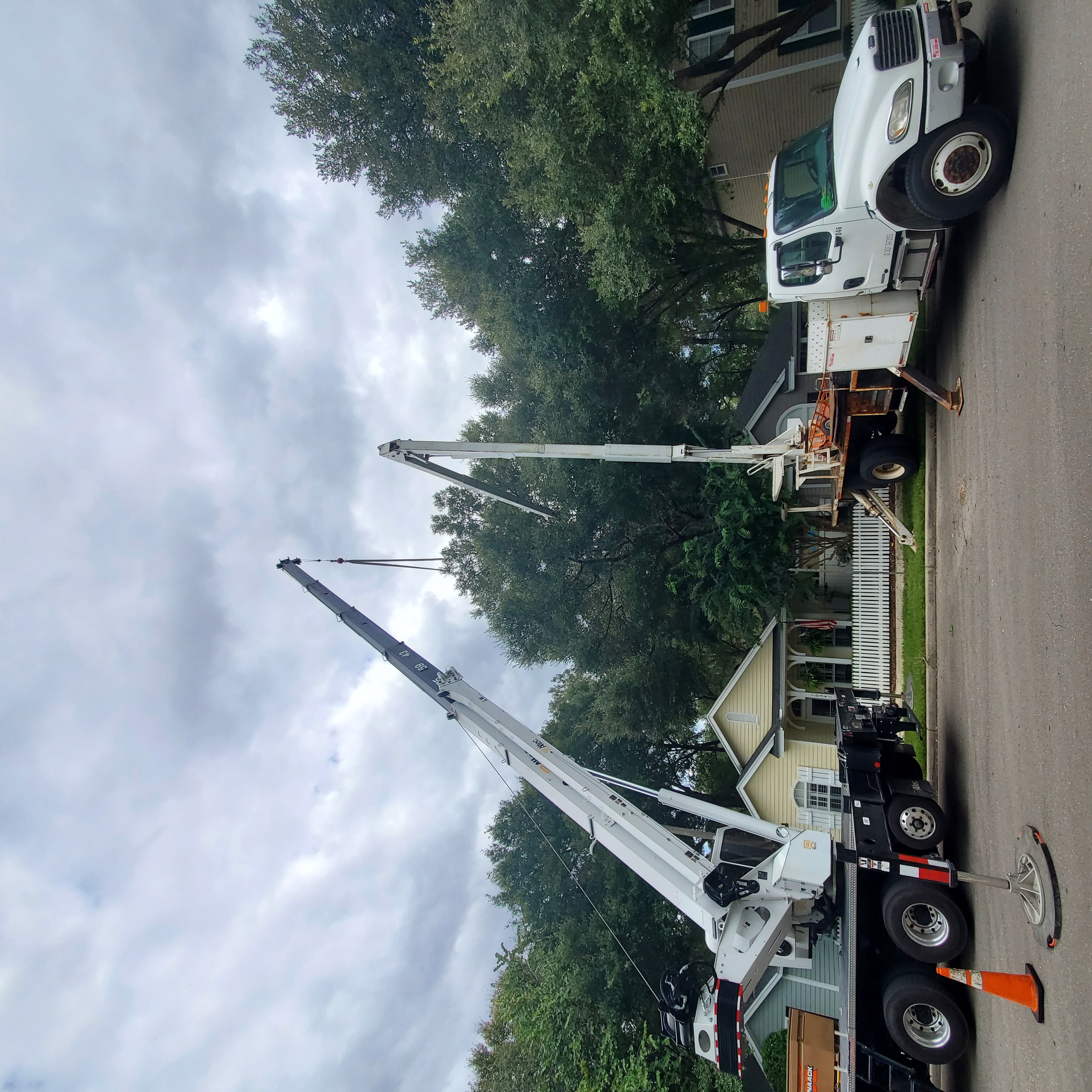 Logo for Hoyers Express Tree Service