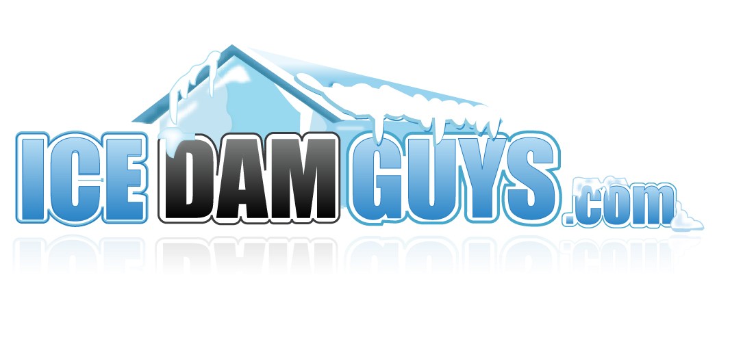 Logo for Ice Dam Guys