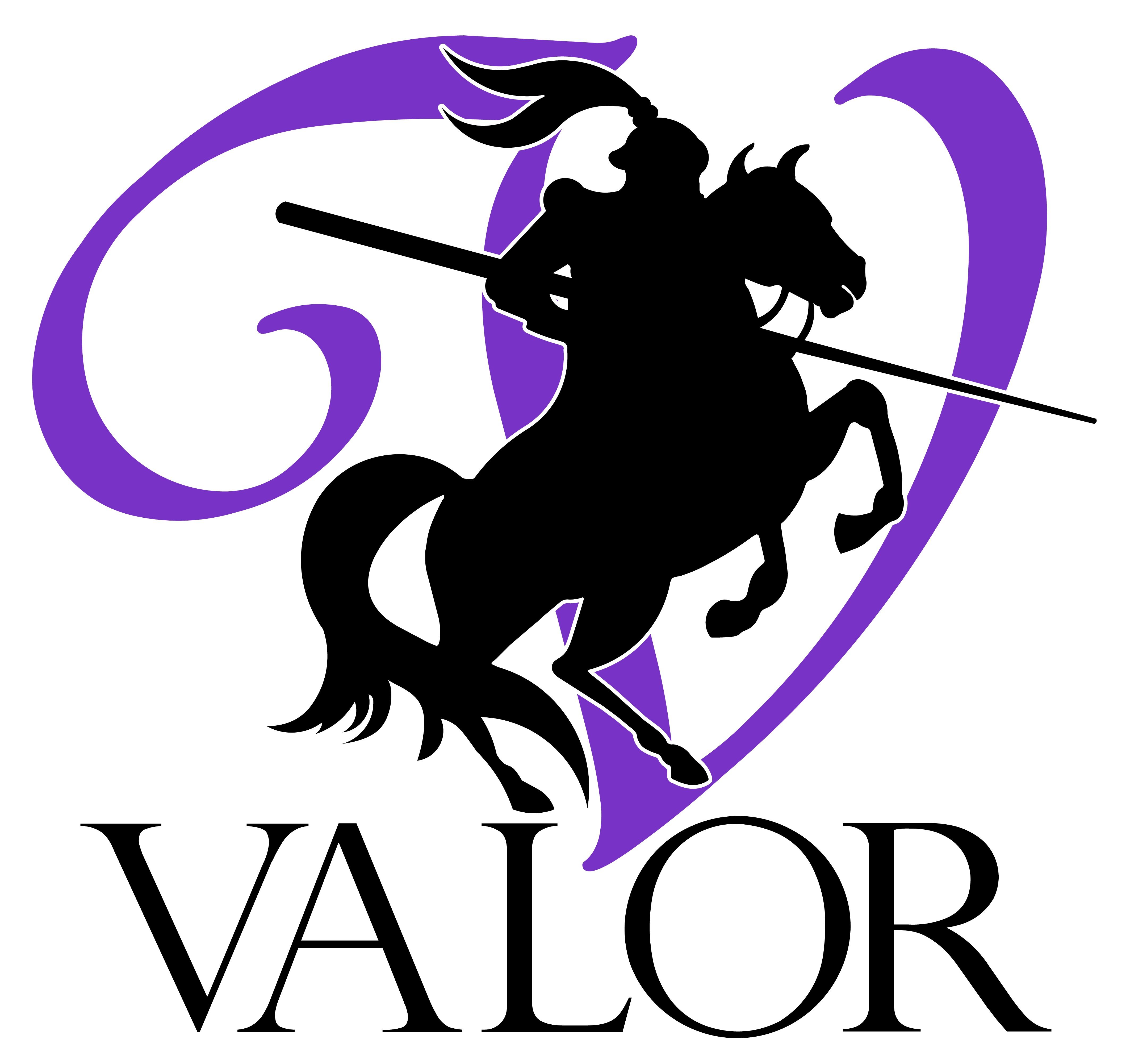 Logo for Valor Mold Removal