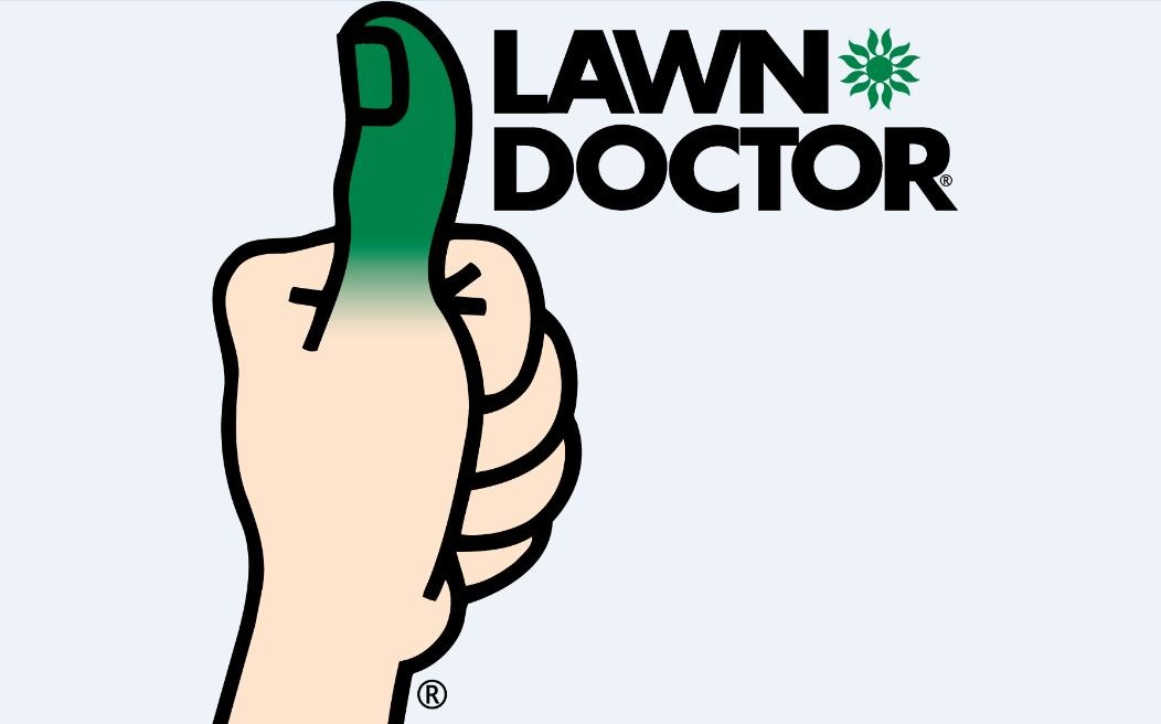 Logo for Lawn Doctor St. Louis - St. Charles