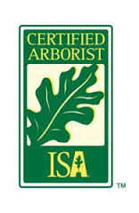 Wright Brothers' Landscaping & Tree Service logo