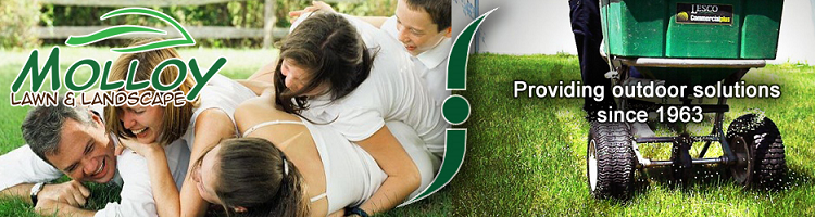 Logo for Piedmont Lawn Service
