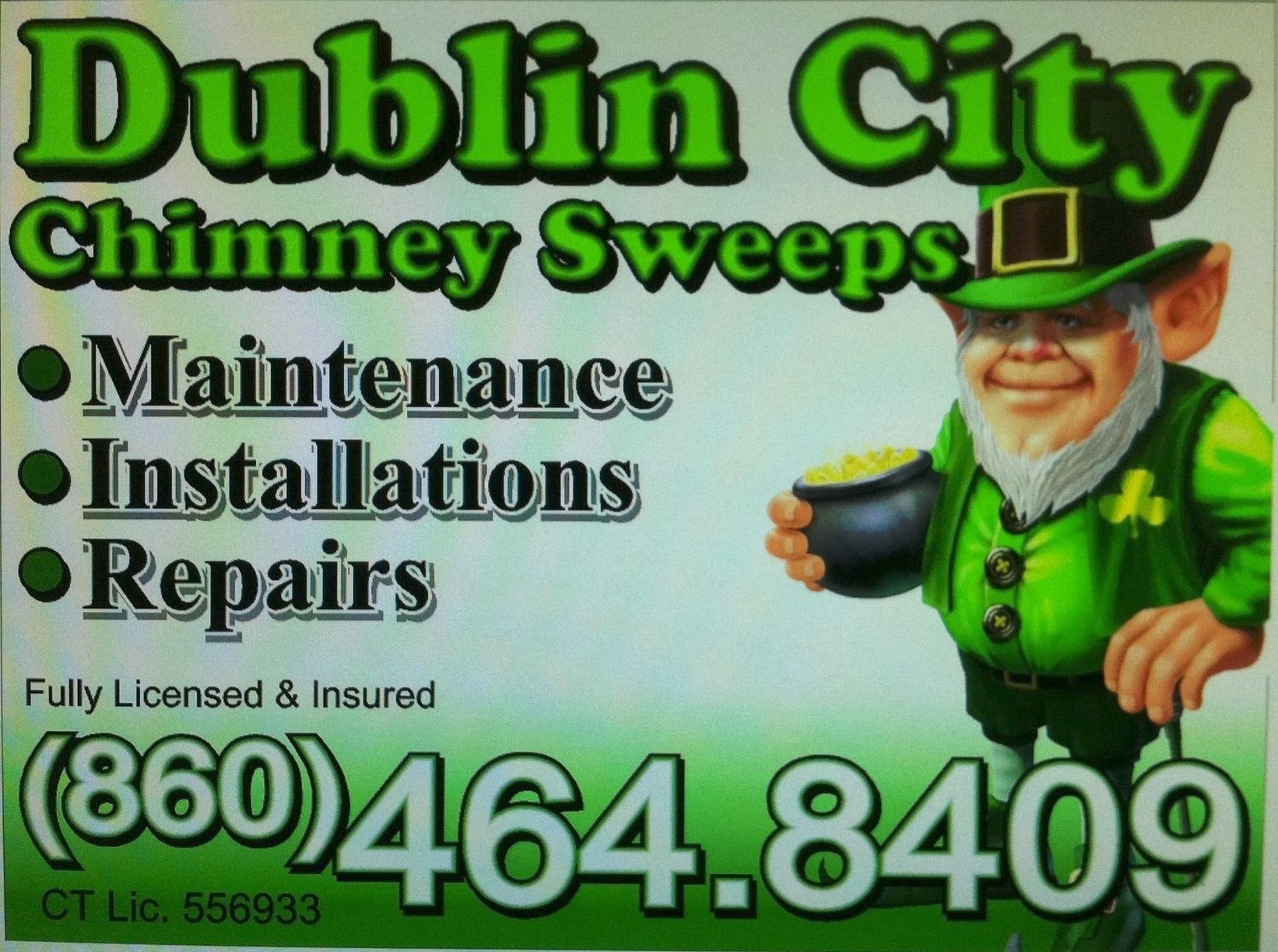 Dublin City Chimney Sweeps logo