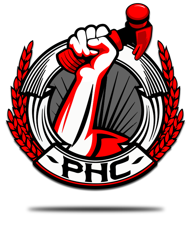 Logo for Payless Handyman