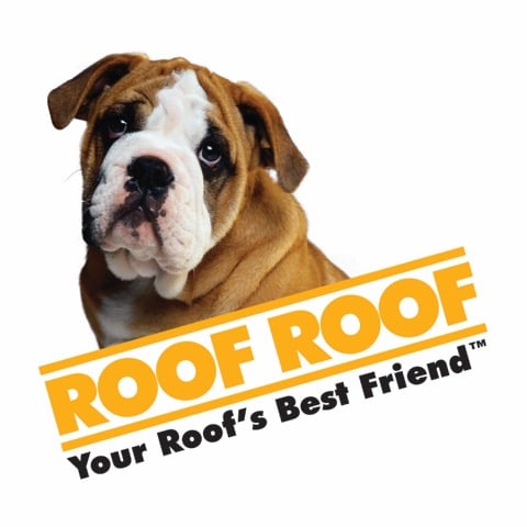 Logo for Roof Roof