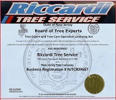 Avatar for Riccardi Tree Service