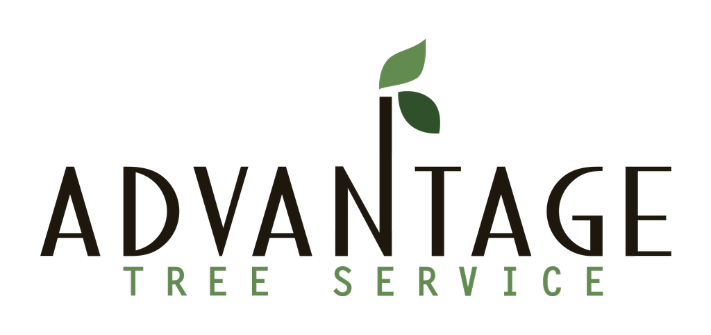 Advantage Tree Services LLC logo