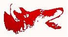 Coyote Painting & Window Cleaning logo