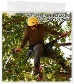 Logo for Peace of Mind Tree Service