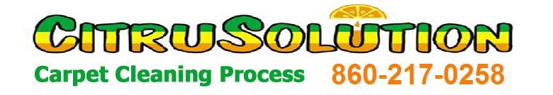 Logo for Citrusolution of Greater Hartford