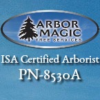 Logo for Arbor Magic Tree Services