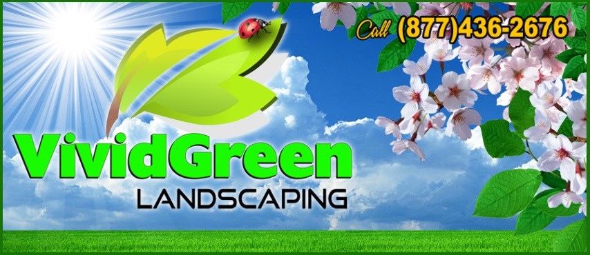Vivid Green Landscaping logo