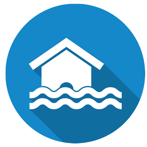 Avatar for Flood Doctor