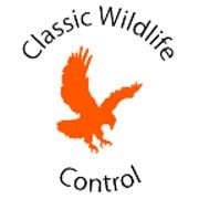 Avatar for Classic Wildlife Control