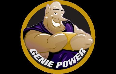 Logo for Window Genie