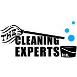 Logo for The Cleaning Experts