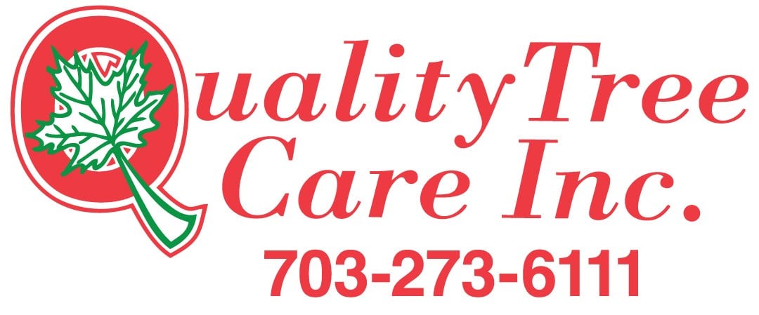 Logo for Quality Tree Care Inc
