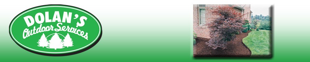 Dolan's Outdoor Services logo