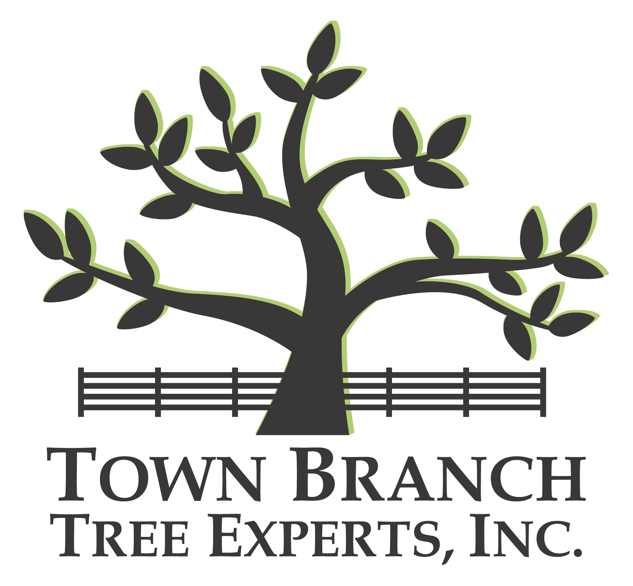 Logo for Town Branch Tree Experts Inc