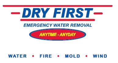 Logo for Dry First