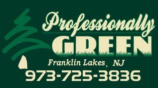 Avatar for Professionally Green LLC