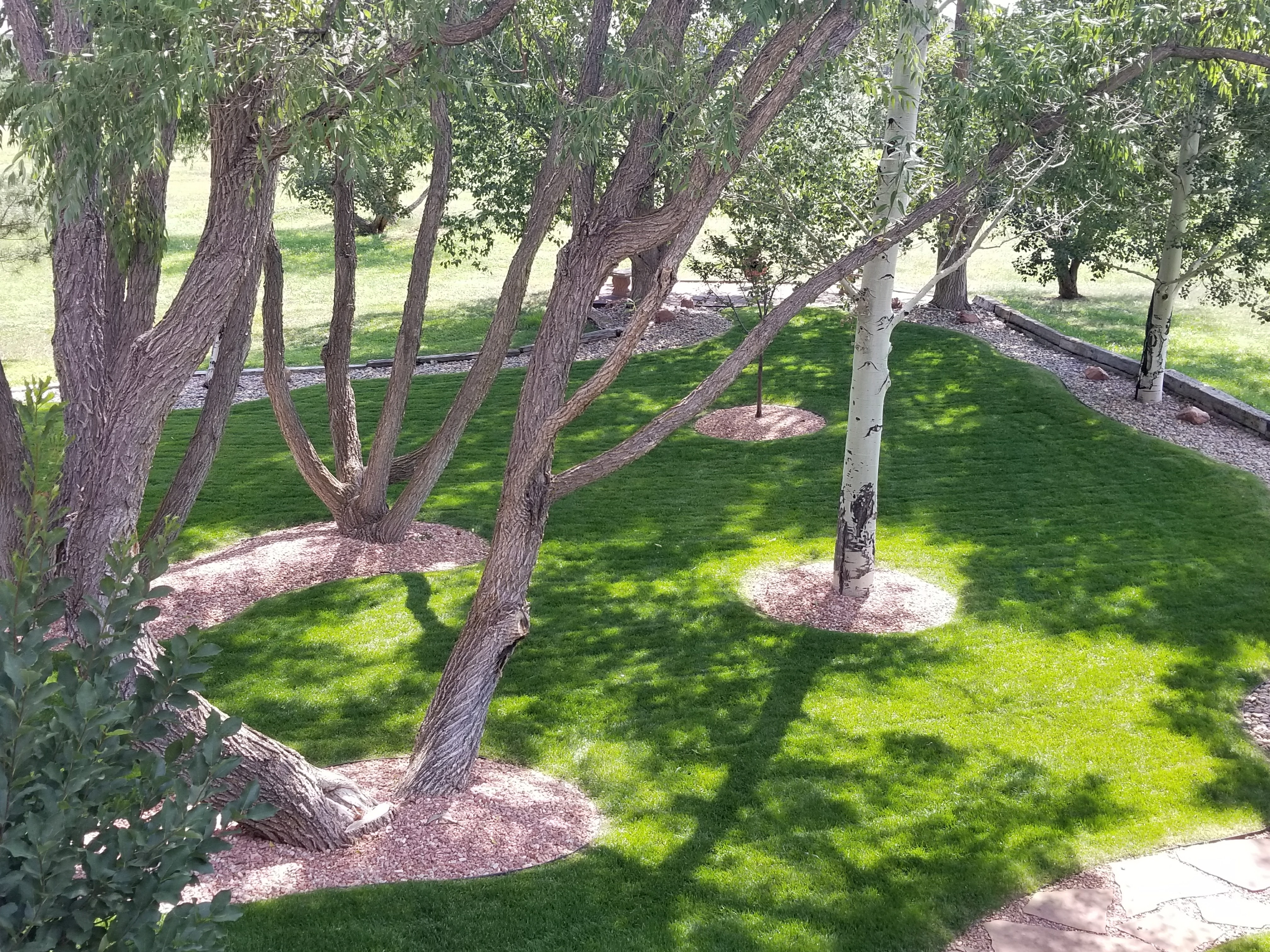 Logo for Big M Lawn Care, Inc