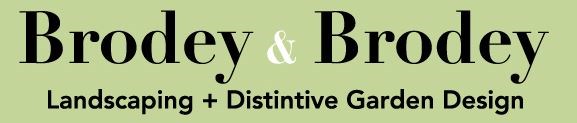 Brodey & Brodey logo