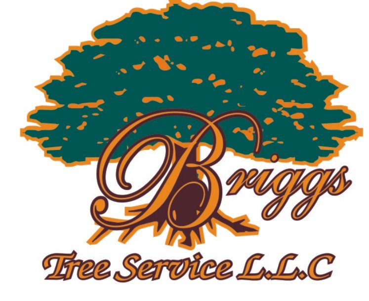 Logo for Briggs Tree Service LLC