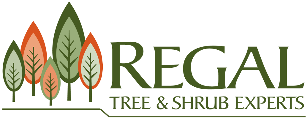 Logo for Regal Tree & Shrub Experts