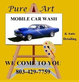 Logo for Pure Art Mobile Car Wash