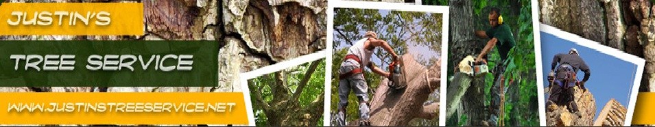 Logo for Justin's Tree Service LLC
