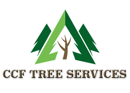 Avatar for CCF Tree Services