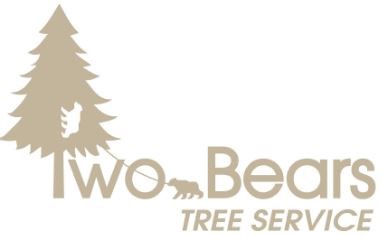 Logo for Two Bears Trees Service