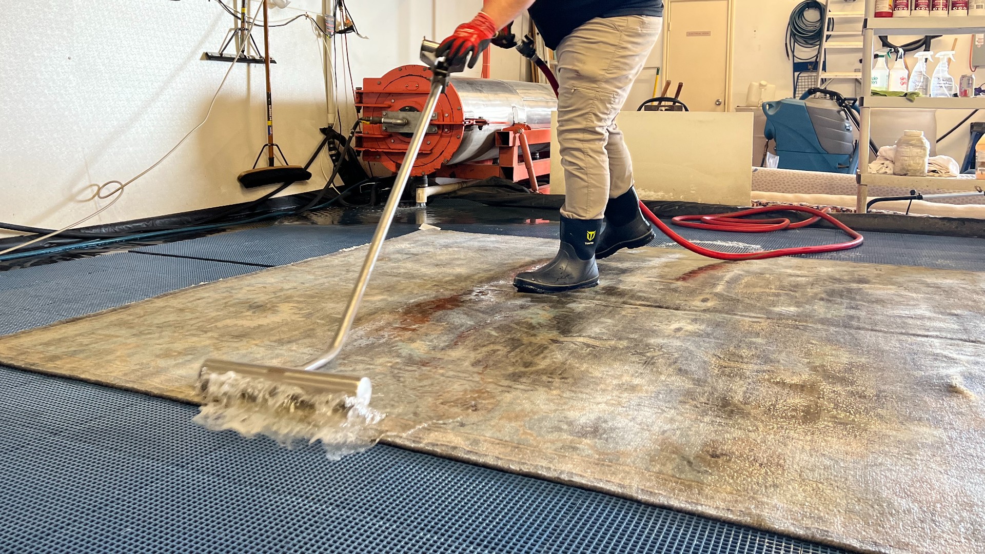 Avatar for Signature Rug Cleaning