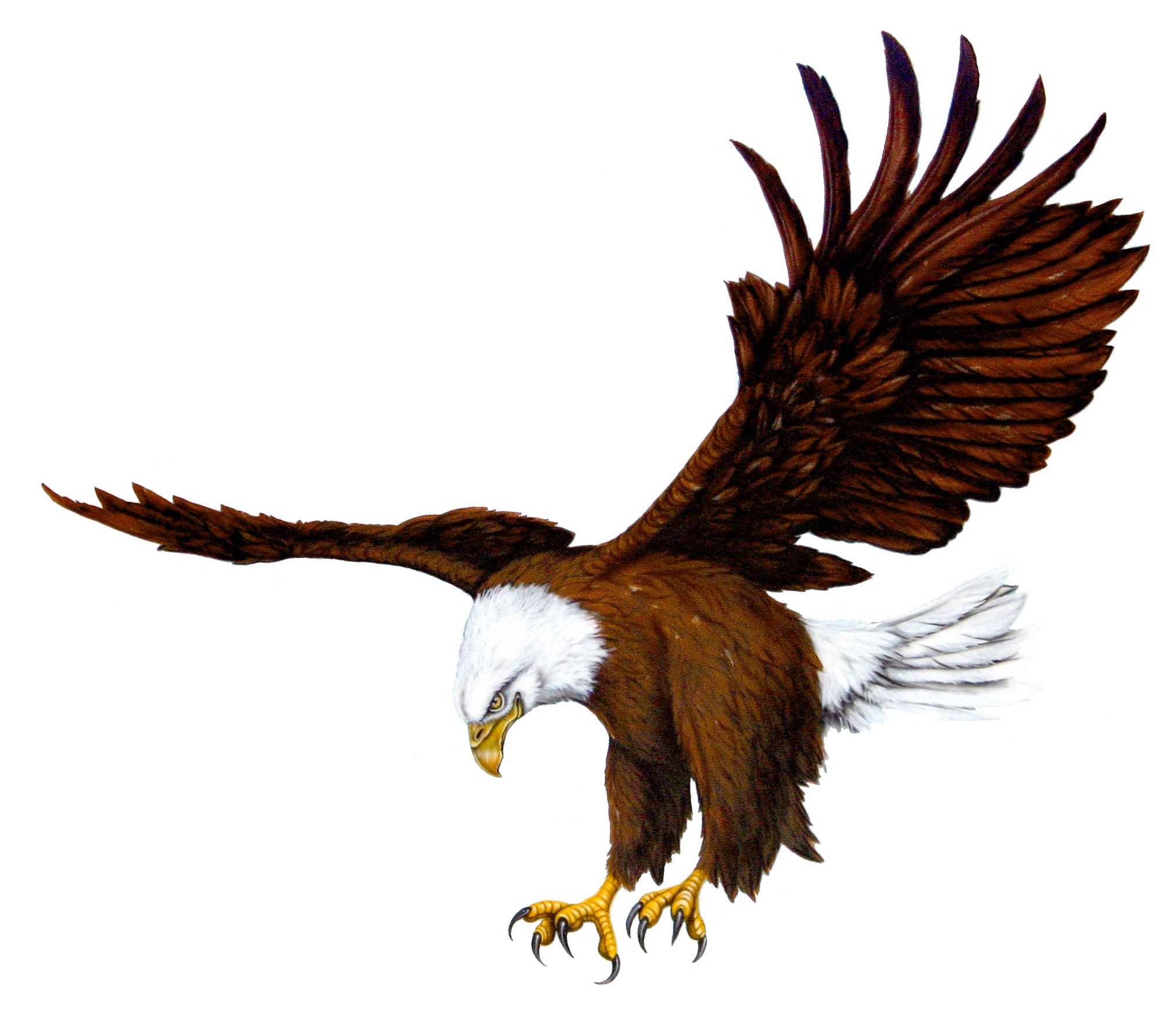 Avatar for Roofing USA