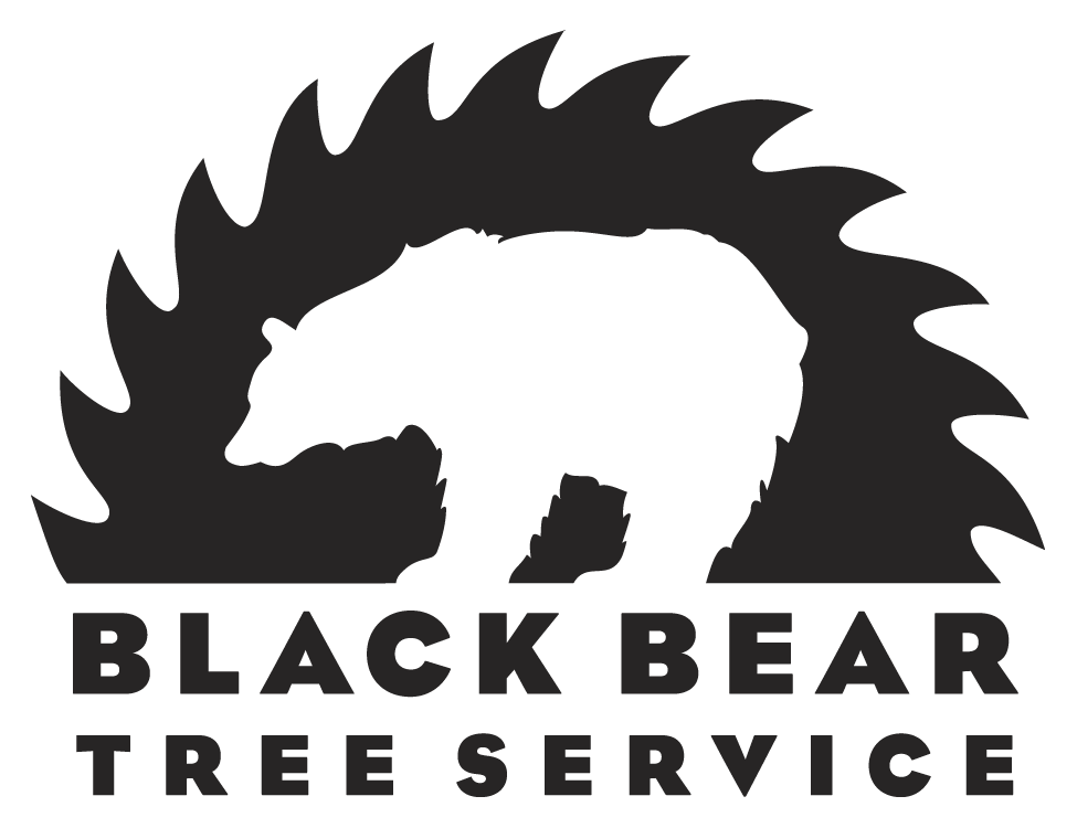 Logo for Black Bear Tree Service
