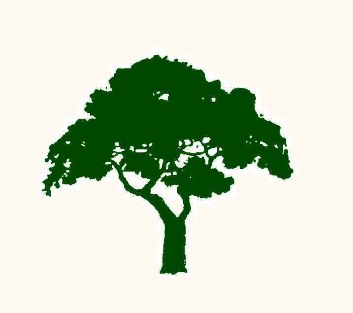 Logo for Environmental Design & Landscaping LLC