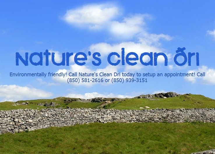 Nature's Clean Dri logo