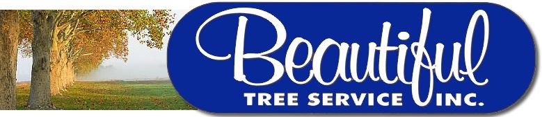 Avatar for Beautiful Tree Service, Inc
