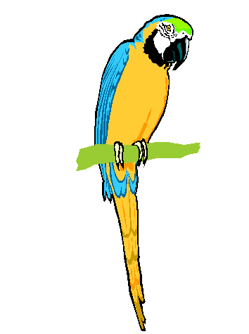 Macaw Lawn & Landscaping logo