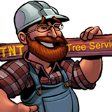 Logo for TNT Tree Service
