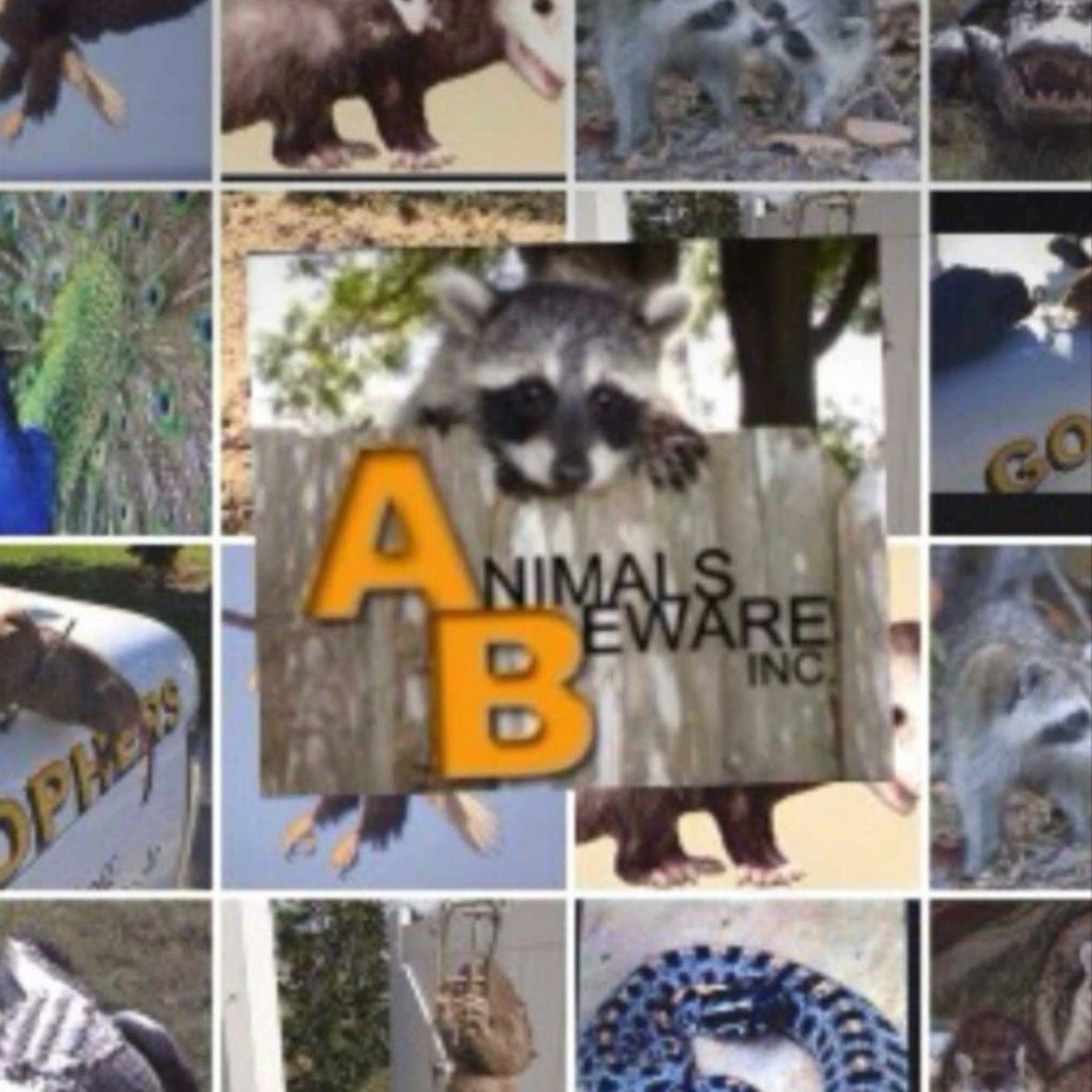 Avatar for Animals Beware Inc