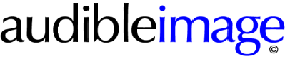 Logo for Audible Image & Data Inc