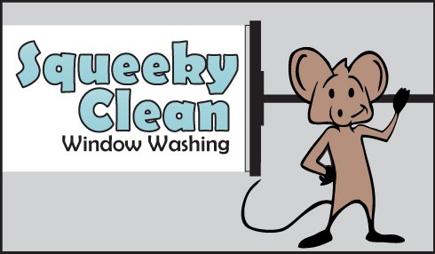 Logo for Squeeky Clean Window Washing