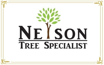 Logo for Nelson Tree Specialist Inc