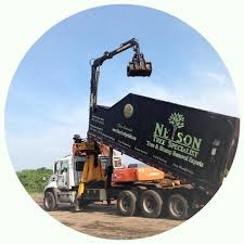 Avatar for Nelson Tree Specialist Inc