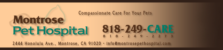 Logo for Montrose Pet Hospital