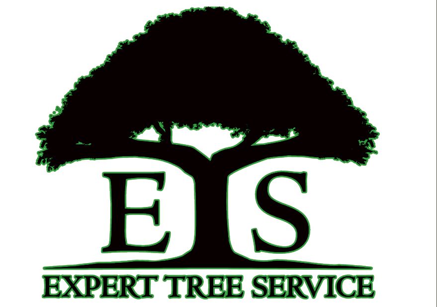 Logo for Expert Tree Svc