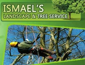 Logo for Ismael Landscape & Tree Service